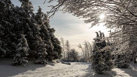 Winter scenery