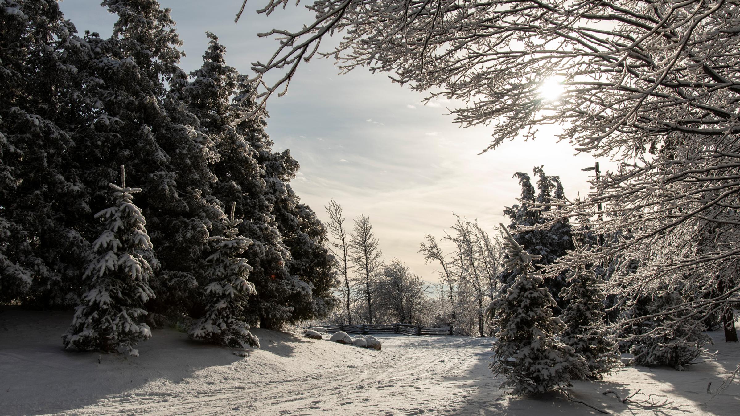 Winter scenery