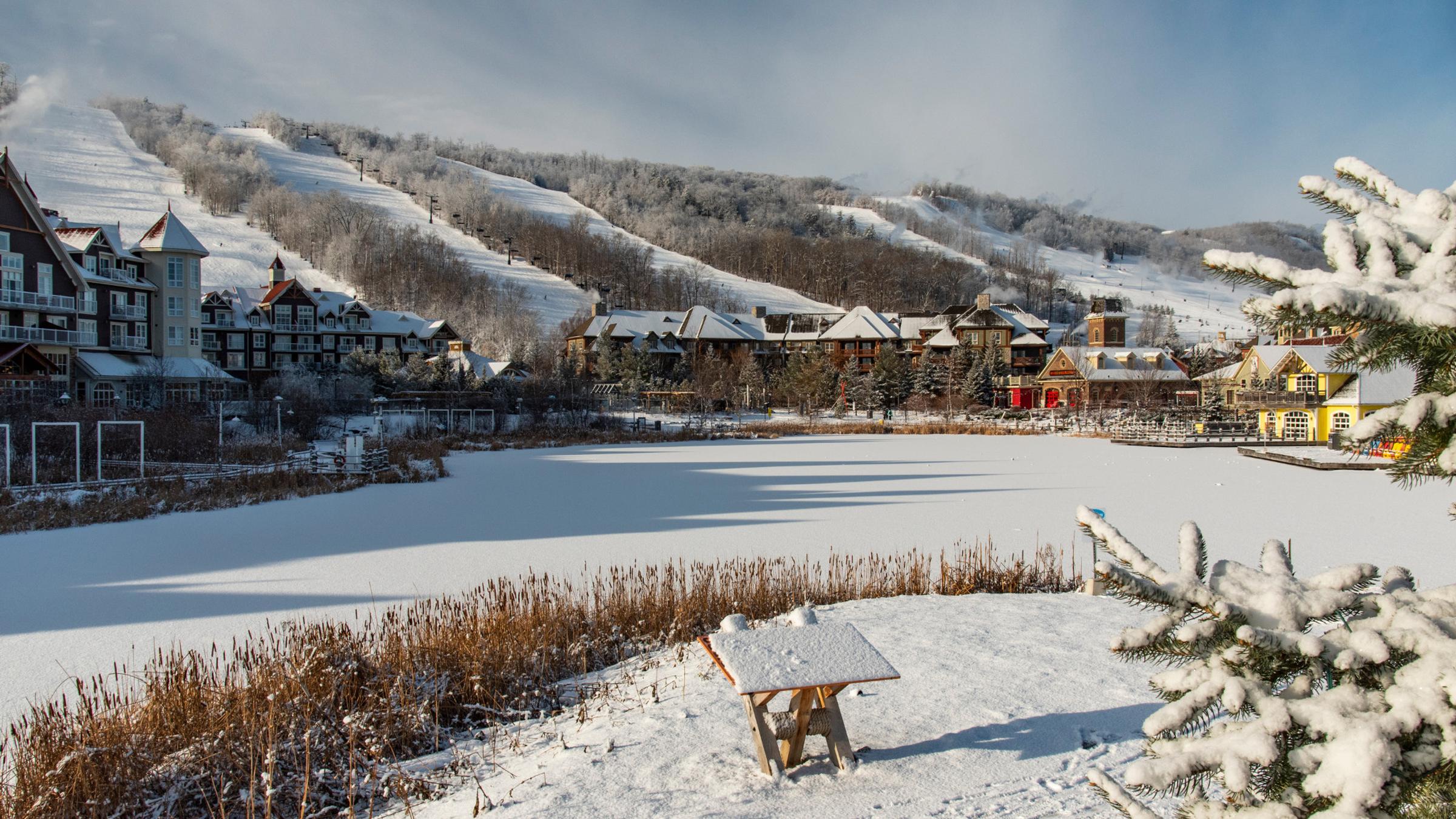 Scenic view overlooking Mill Pond towards Blue Mountain in winter