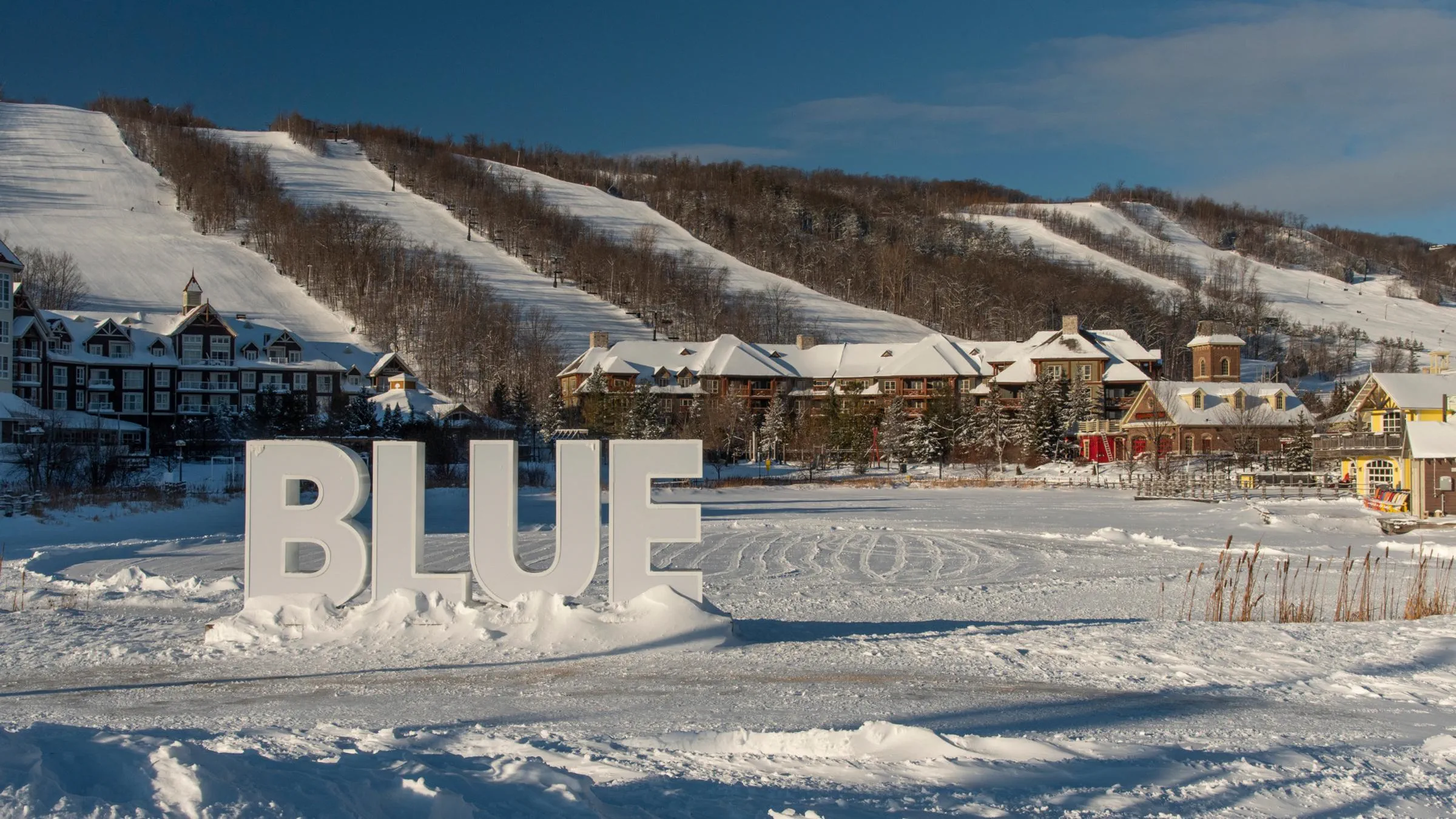 2019-02-01-bm-winterlandscape-005-jpg.jpg