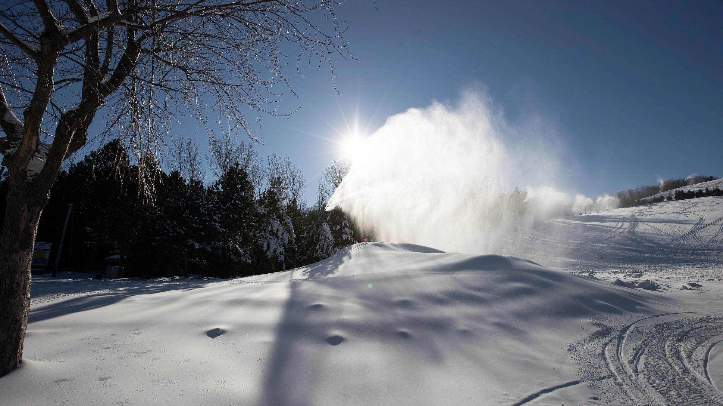 Winter Landscape