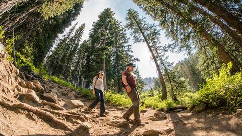 A couple hiking downhill on trails in the woods